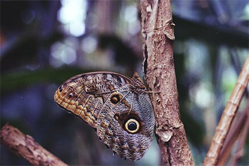 电视剧浮沉剧情介绍（电视剧浮沉剧情介绍大全）